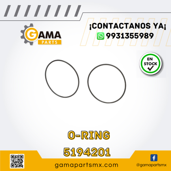 O-RING 5194201 CNH