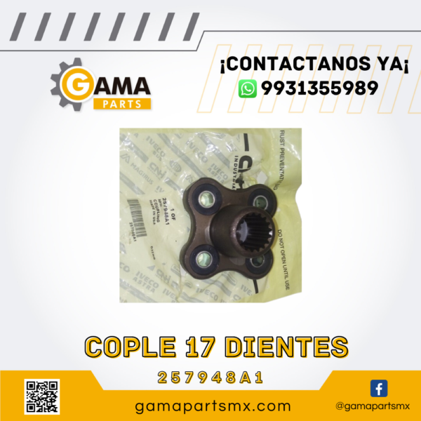 COPLE DE 17 DIENTES 257948A1 CNH