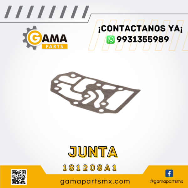 JUNTA 181208A1 CNH