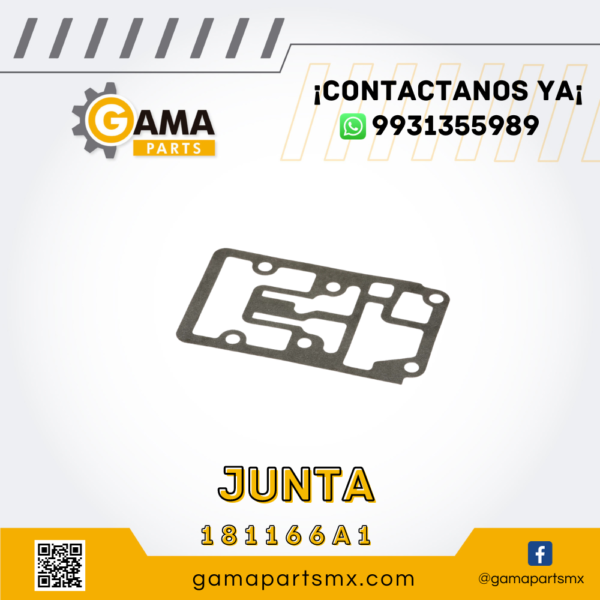 JUNTA 181166A1 CNH