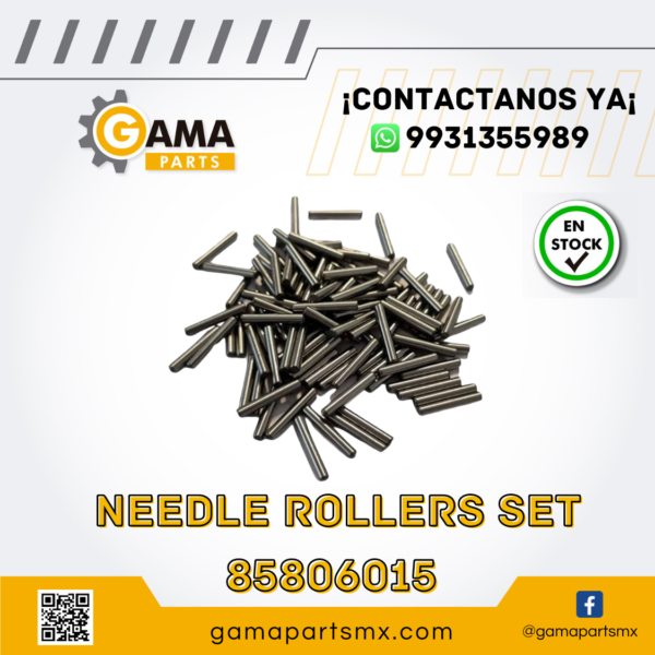 NEEDLE BEARING 85806015 CNH