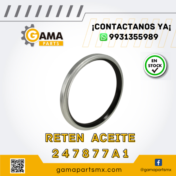 SEAL 247877A1 CASE
