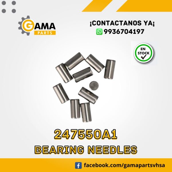 247550A1 - BEARING NEEDLES PARA CASE