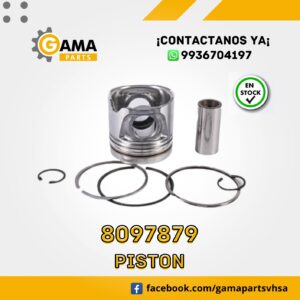 8097879 PISTON PARA CASE