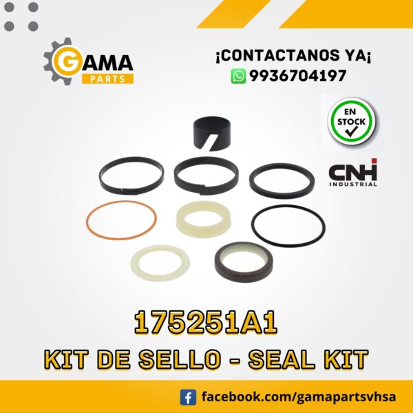 175251A1 - KIT DE SELLOS CNH