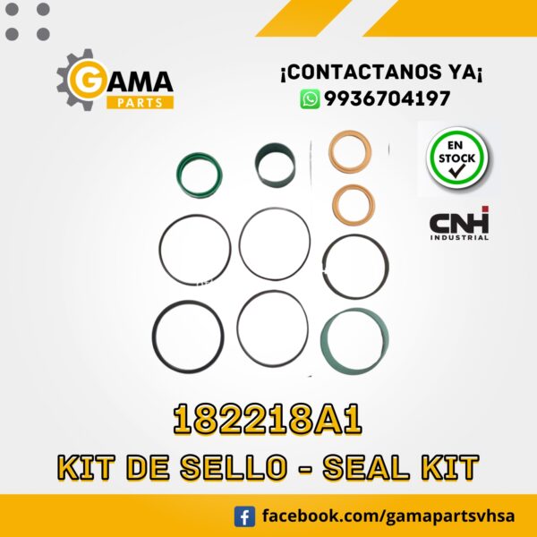 182218A1- KIT DE SELLOS CNH