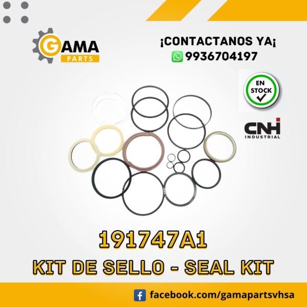 191747A1- KIT DE SELLOS CNH