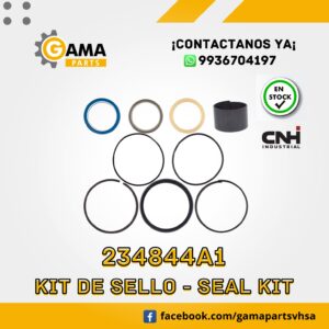 234844A1- KIT DE SELLOS CNH