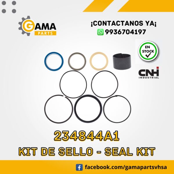 234844A1- KIT DE SELLOS CNH